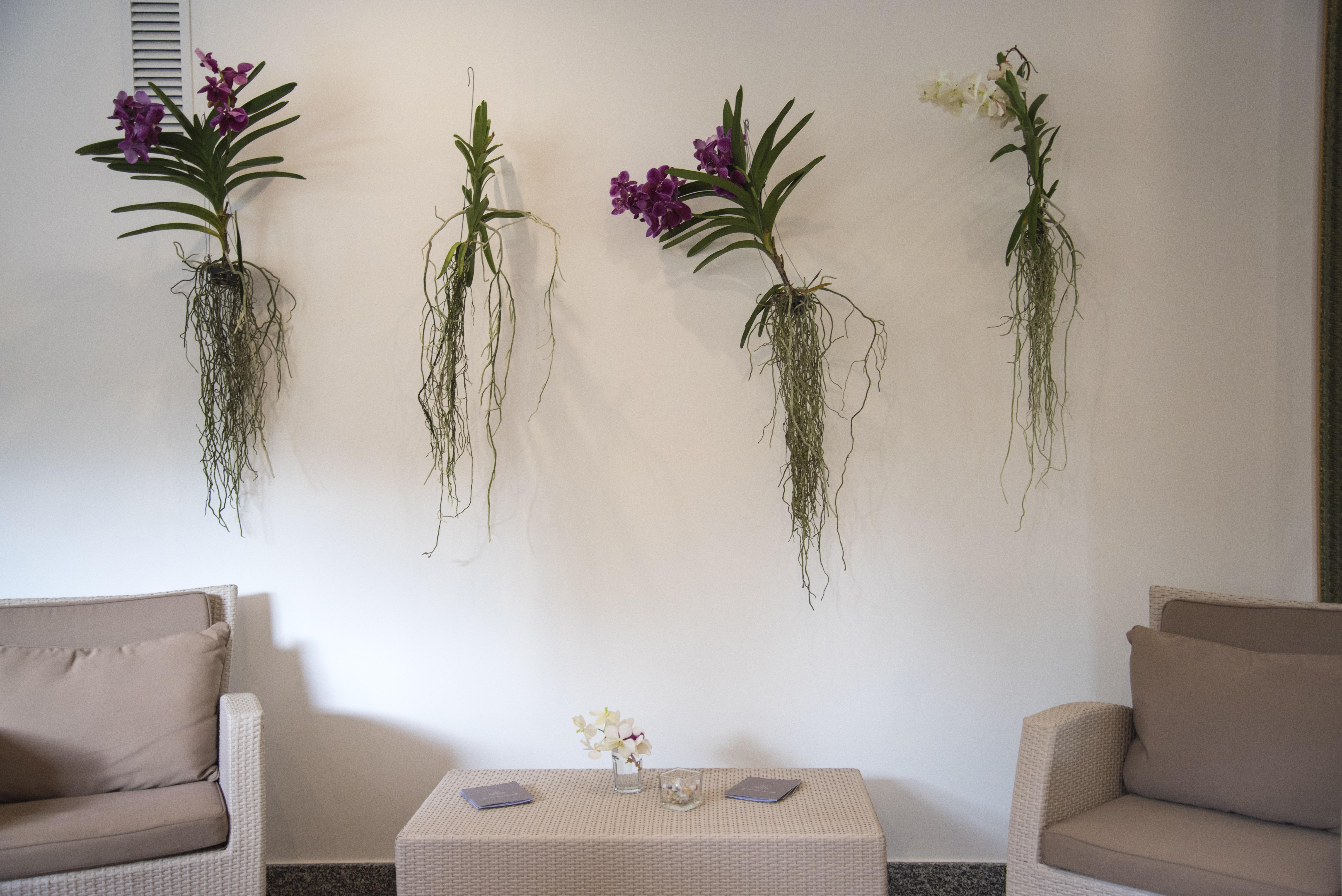Hotel Riva Del Sole Giovinazzo Εξωτερικό φωτογραφία