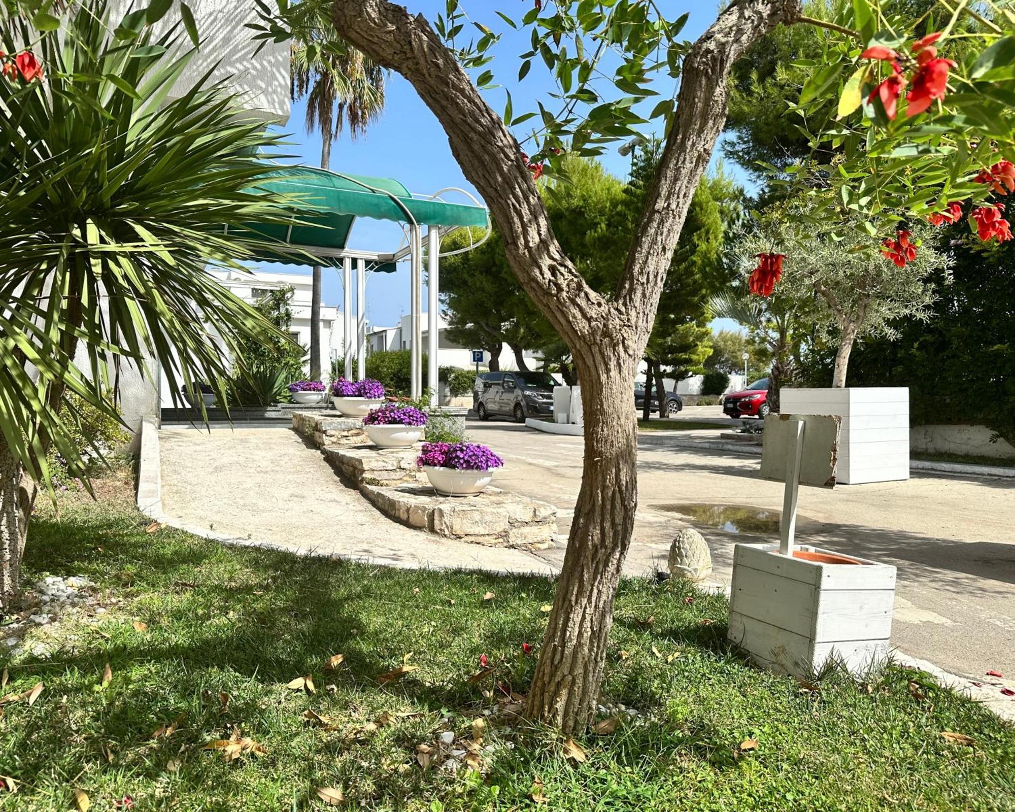Hotel Riva Del Sole Giovinazzo Εξωτερικό φωτογραφία
